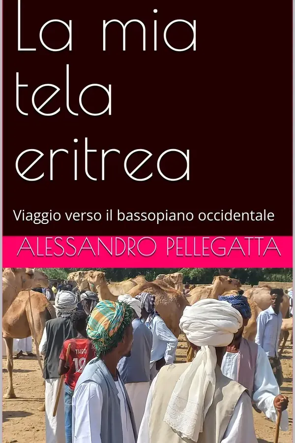 Copertina dell'ebook La mia tela eritrea (viaggio verso il bassopiano occidentale) di Alessandro Pellegatta