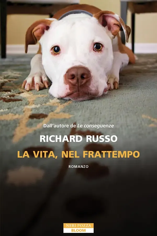 Copertina dell'ebook La vita, nel frattempo di Richard Russo