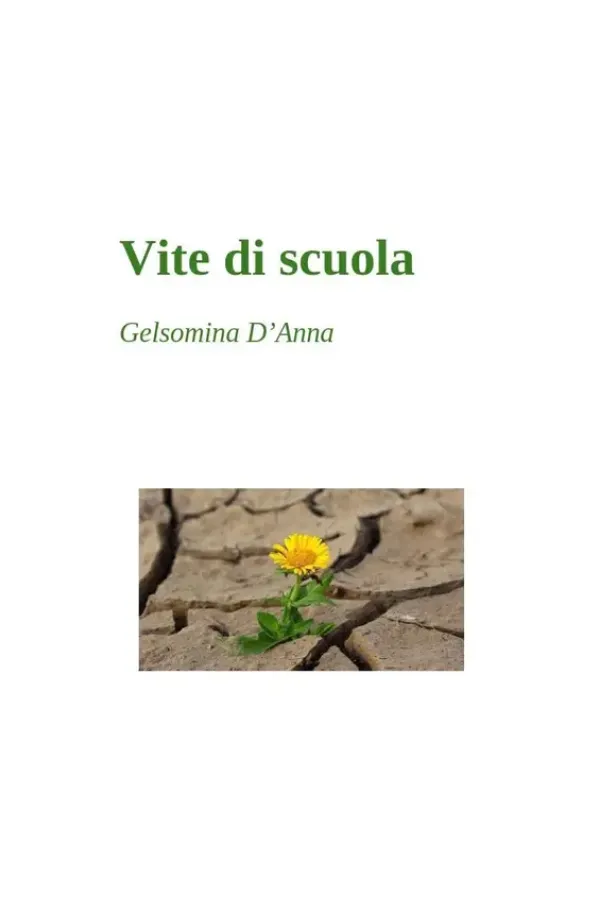Copertina dell'ebook Vite di scuola di Gelsomina D'Anna